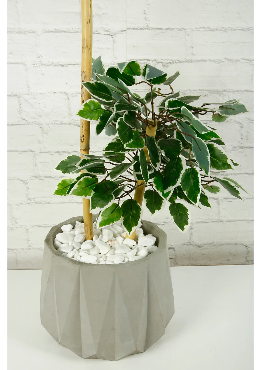 Yapay Çiçek Dekoratif Beton Saksıda Starlight Benjamin Ağacı Bambu Gövdeli Salon Ev Bitki 105 cm